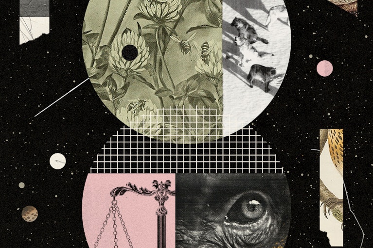 Blake Cale for Noema Magazine