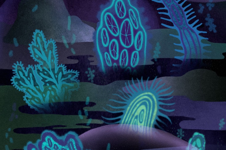 Illustration by Jesse Zhang for Noema Magazine.