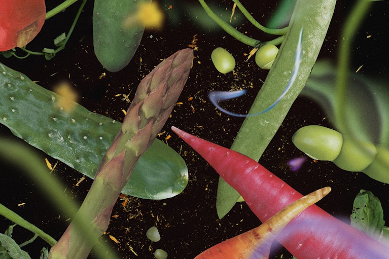 Image by Nicole Beno for Noema Magazine.