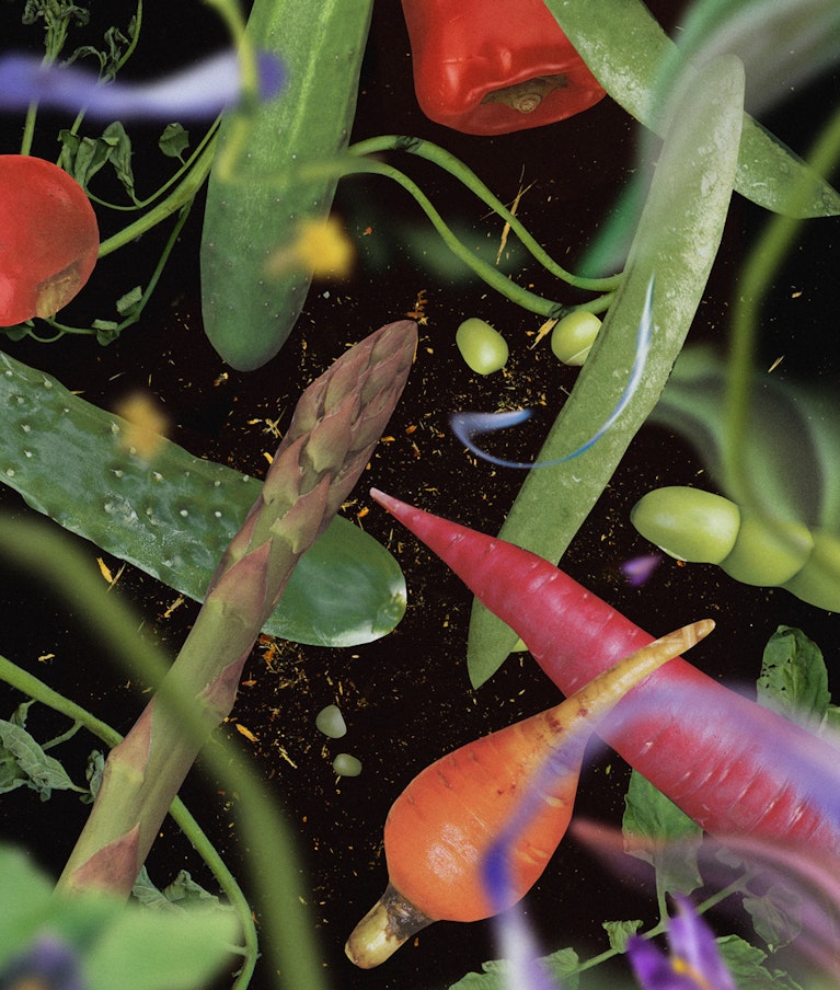 Image by Nicole Beno for Noema Magazine.