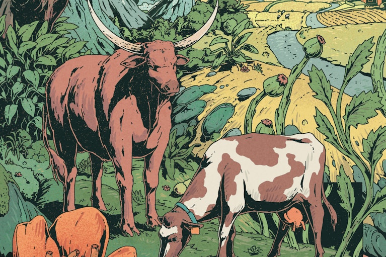 An illustration created by Micha Huigen for Noema Magazine